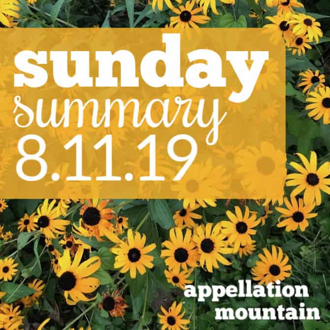 Sunday Summary: 8..11.19