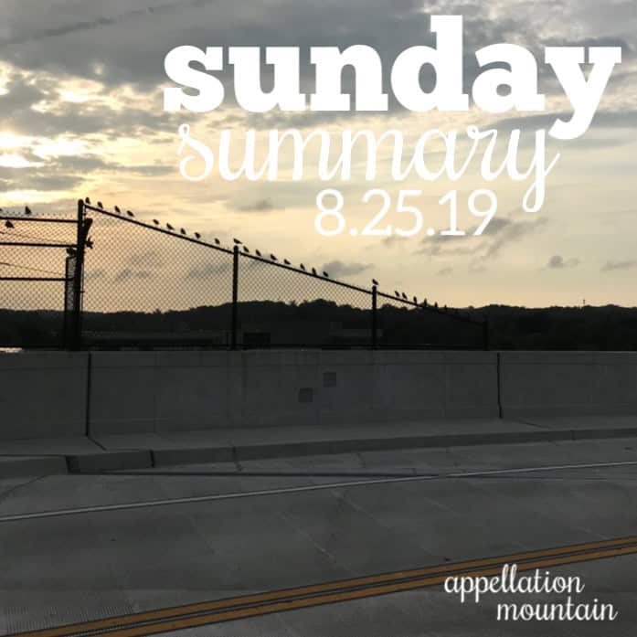 Sunday Summary: 8.25.19
