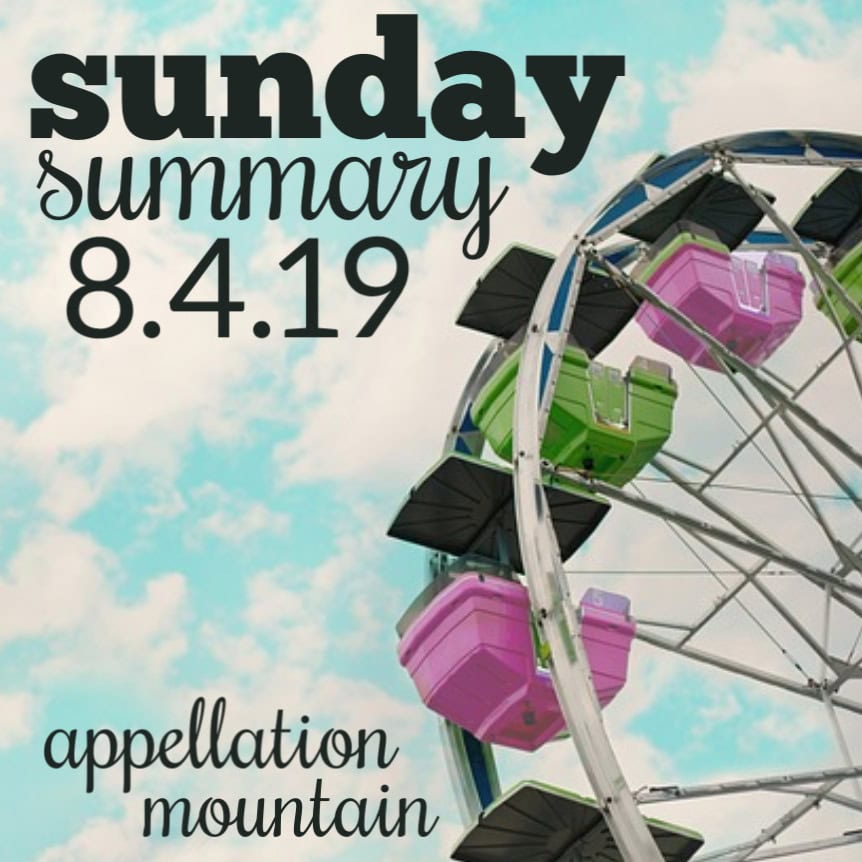 Sunday Summary: 8.4.19