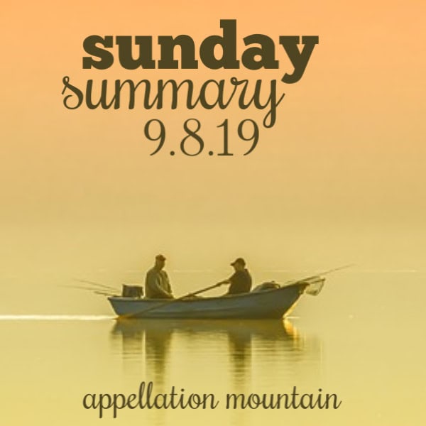 Sunday Summary: 9.8.19