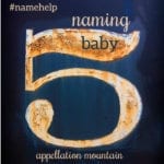 Name Help: Baby Five Needs a Name!
