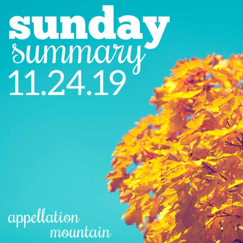 Sunday Summary: 11.24.19