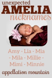 Amelia nicknames