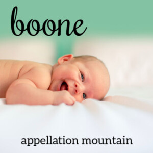 Boone