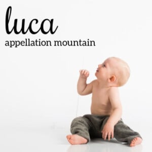 Luca