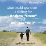 Name Help: Sibling for Drew and Will