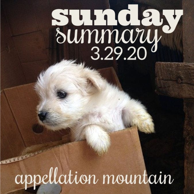 Sunday Summary: 3.29.20