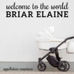 Name Help Update: Welcome Briar Elaine