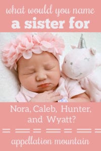 Name Help: A Sister for Nora