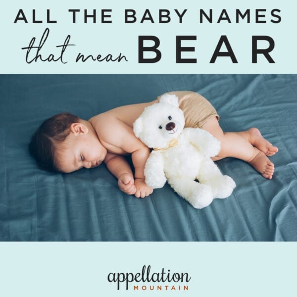 baby with dark hair holding white teddy bear; baby names that mean bear