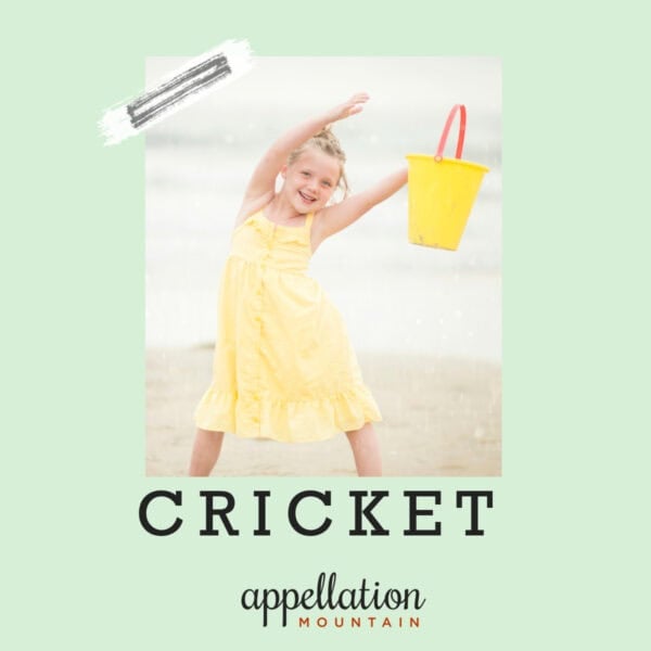 blonde girl child wearing yellow sundress and holding yellow bucket standing on beach; baby name Cricket