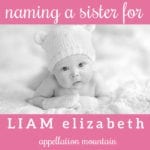 Name Help: A Sister for Liam Elizabeth