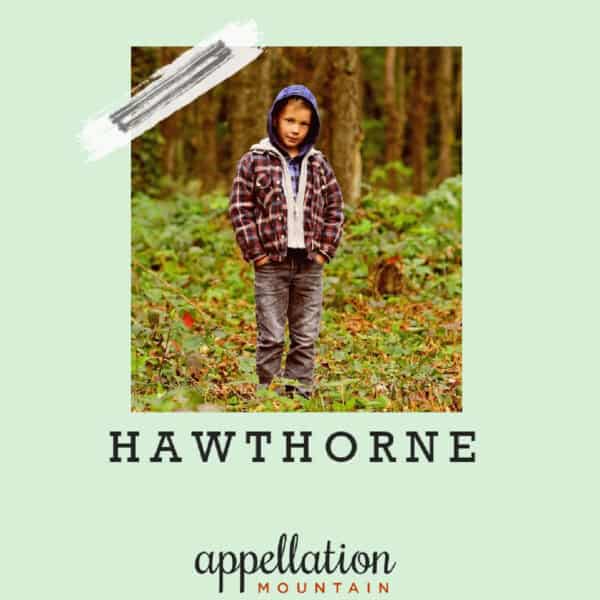 baby name Hawthorne