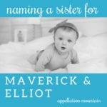 Name Help: A Sister for Maverick and Elliot