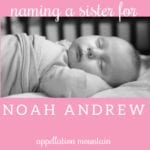 Name Help: A Sister for Noah