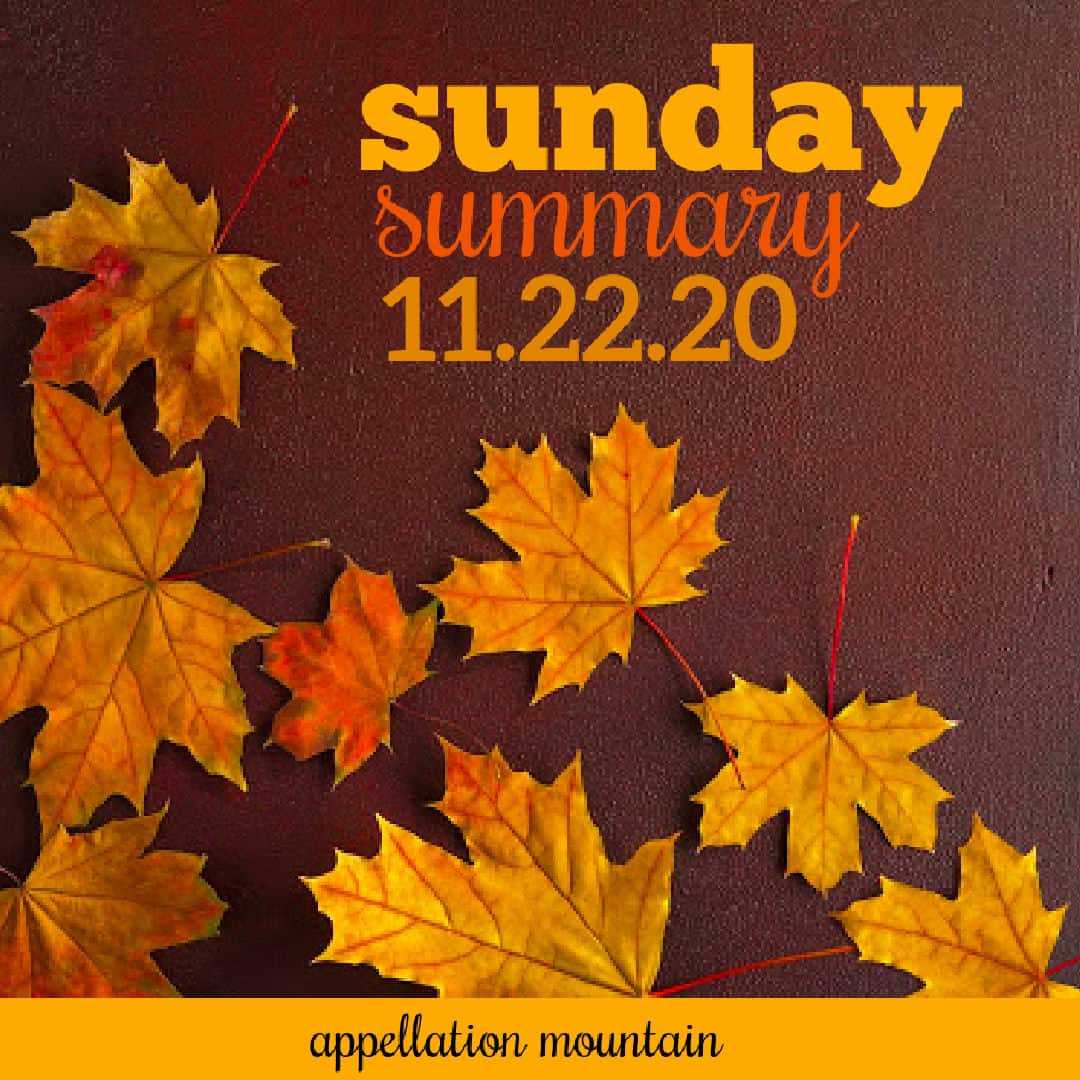Sunday Summary: 11.22.20