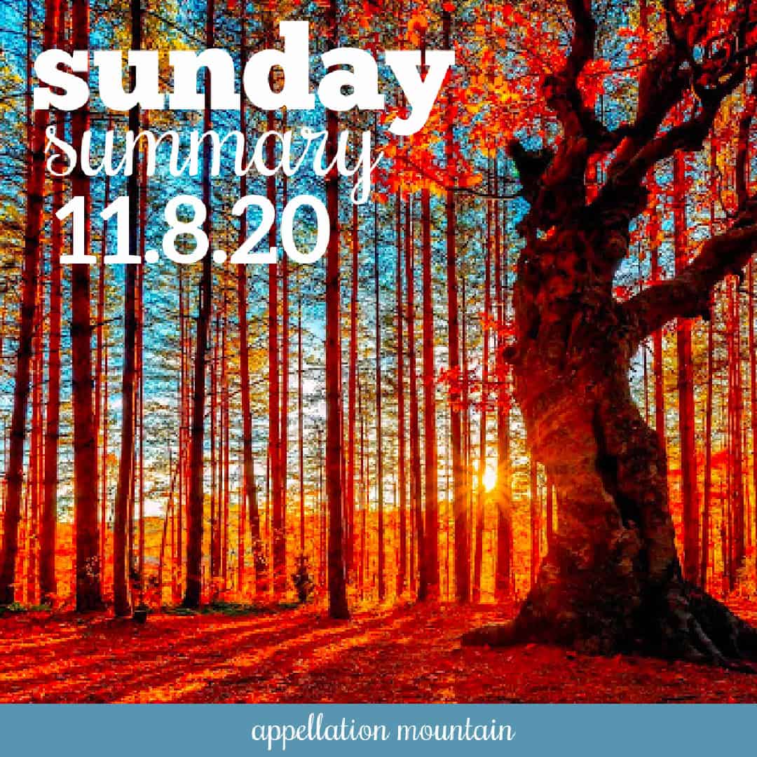 Sunday Summary: 11.8.20