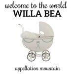 Name Help: Welcome Willa Bea