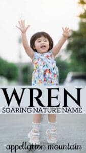 baby name Wren