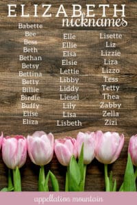 Elizabeth nicknames