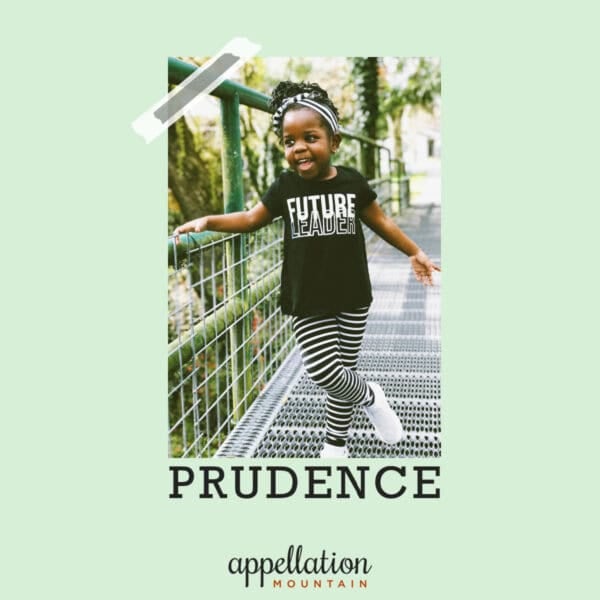African American toddler girl with happy expression standing on bridge wearing tee shirt reading "future leader" and striped leggings; baby name Prudence