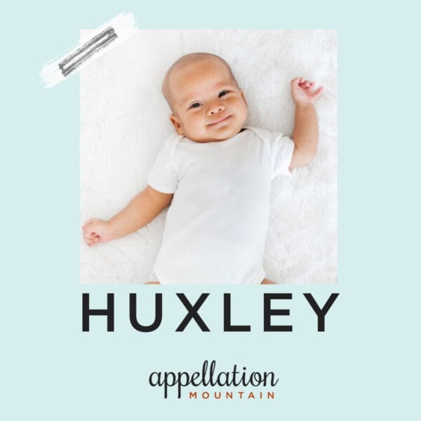 baby name Huxley