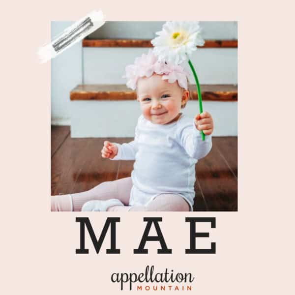 baby girl wearing light pink floral crown, sitting up in front of stairs holding large white flower; baby name Mae