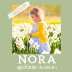 Nora: Baby Name of the Day