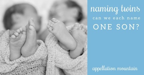 Name Help: Can We Each Name One Twin? - Appellation Mountain