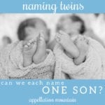 Name Help: Can We Each Name One Twin?