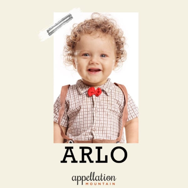 toddler boy with light brown curly hair, plaid shirt, bow tie, suspenders "baby name Arlo"
