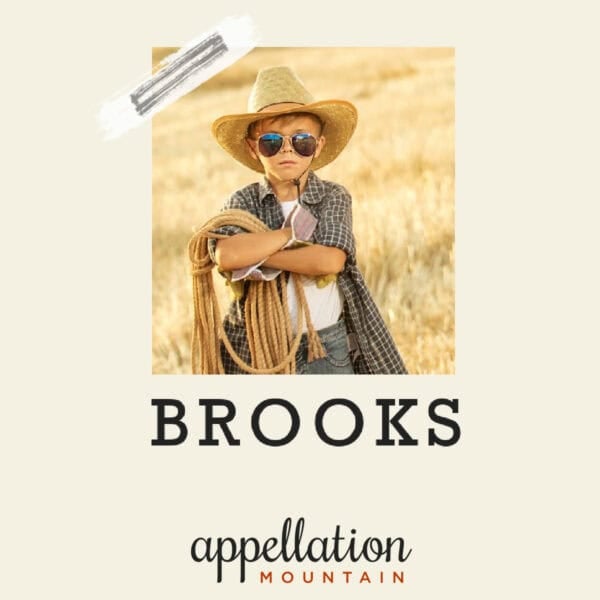 boy child in cowboy hat, sunglasses, and jeans, holding rope; baby name Brooks