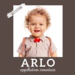 baby name Arlo
