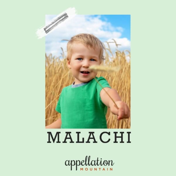blonde toddler boy wearing green shirt in cornfield; baby name Malachi