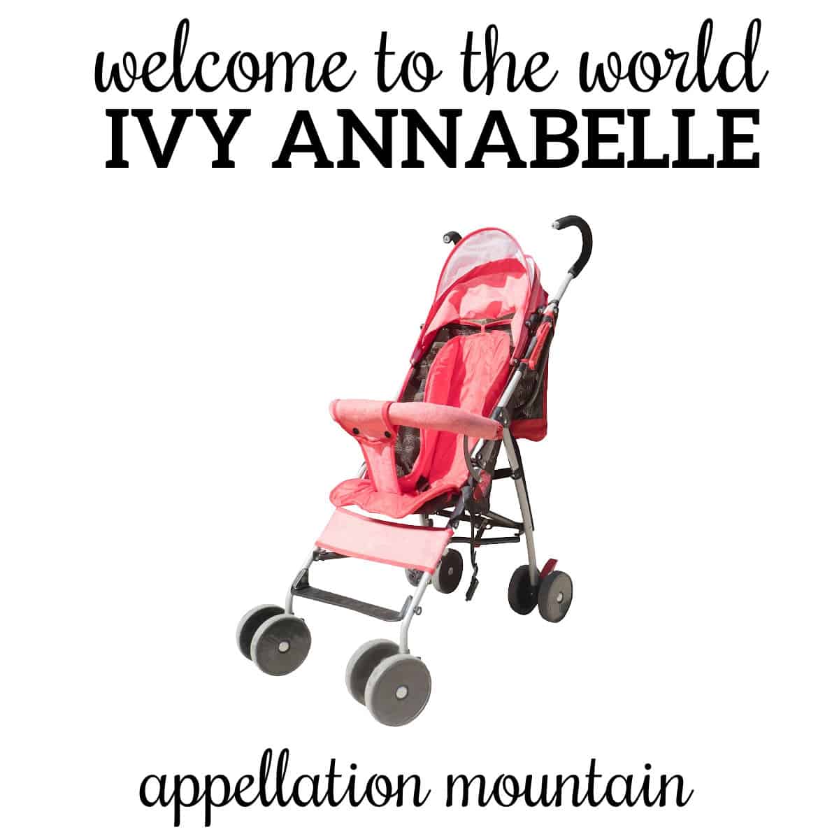 Welcome Ivy Annabelle