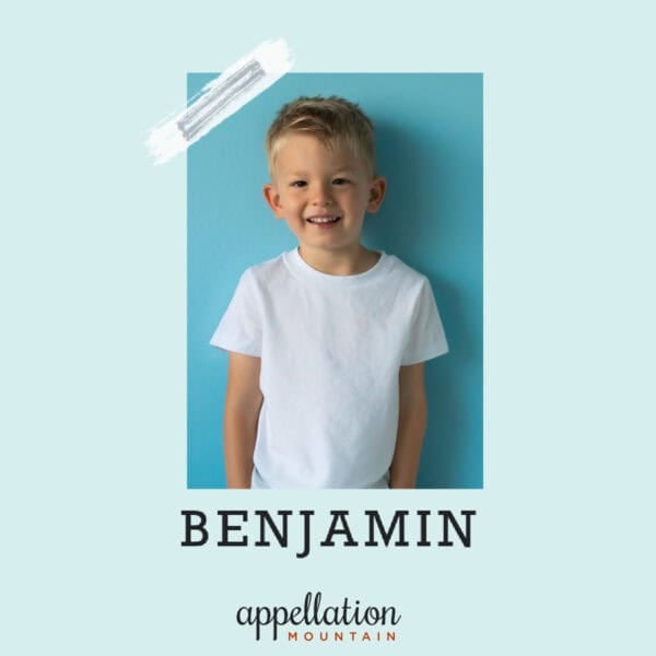 toddler boy with blonde hair wearing white tee; baby name Benjamin