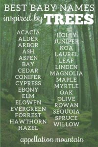 tree names for babies