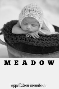 baby name Meadow