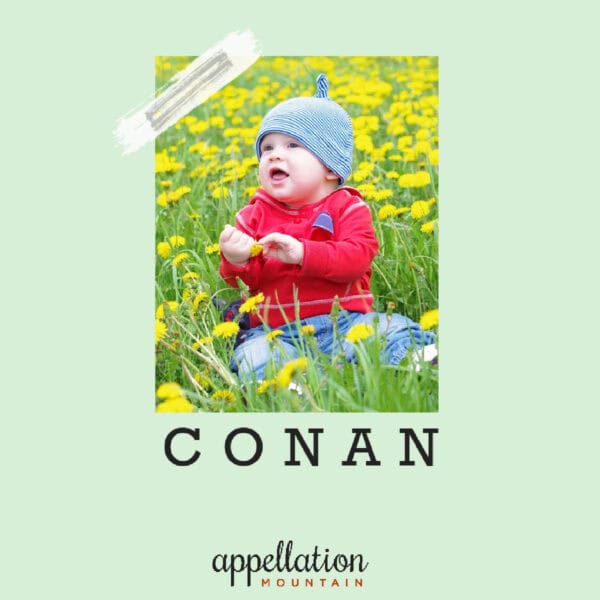 baby boy wearing red shirt and gray-blue knit cap sitting in field of yellow flowers; baby name Conan