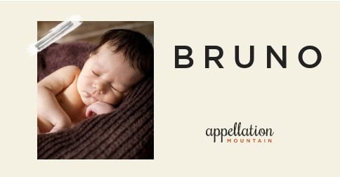 Baby Name of the Day: Bruno - Appellation Mountain