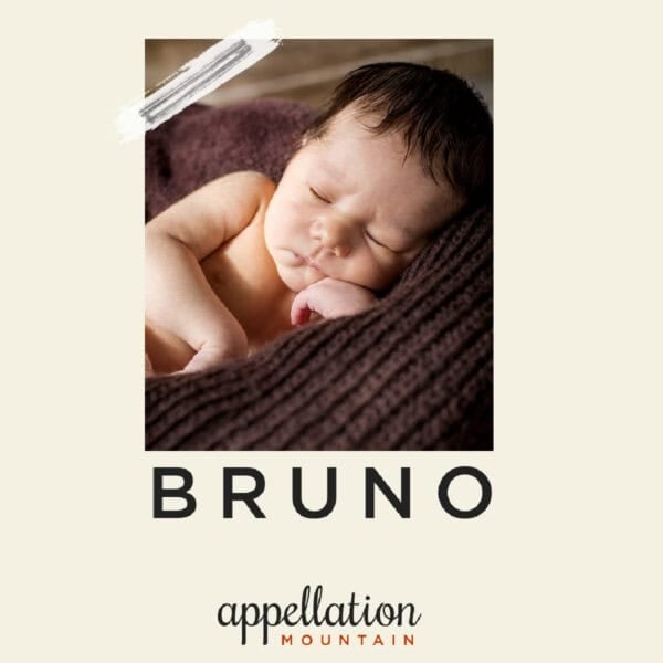 baby boy with dark hair wrapped in brown knit blanket; baby name Bruno