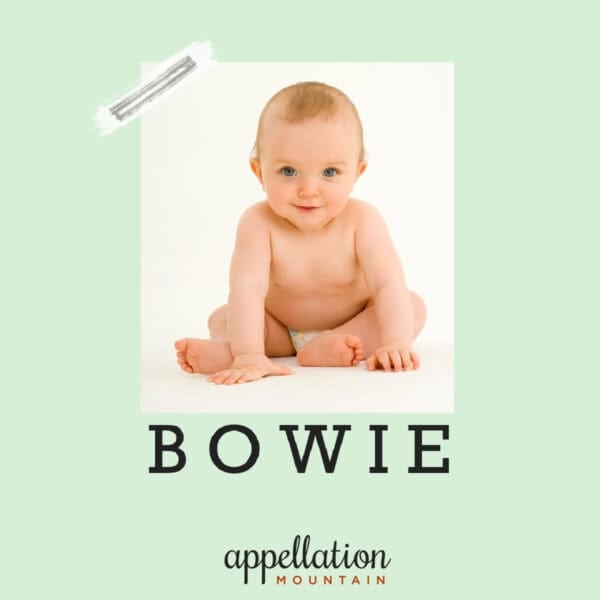baby with light hair sitting propped up on his hands; baby name Bowie