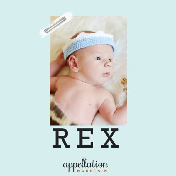 baby wearing blue knit crown; resting on furry white carpet; baby name Rex