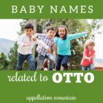 Odette, Ottilie, and Otis: The Ottos