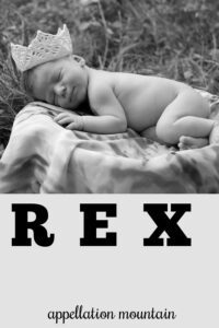 baby name Rex