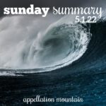 Sunday Summary 5.1.22