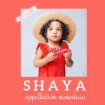 Baby Name Shaya: Modern Gift