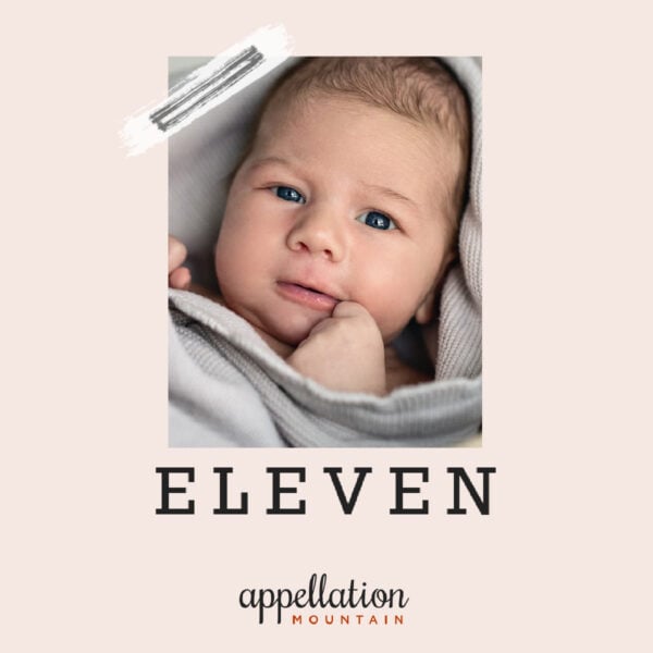 baby with dark hair wrapped in gray blanket; "baby name Eleven"