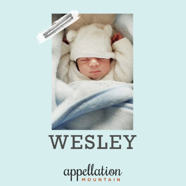 sleeping baby in white hat with ears, wrapped in heavy white sleeper, mittens, and blue blanket; baby name Wesley