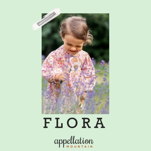 toddler girl with light brown hair wearing floral print dress in field of wildflowers; baby name Flora